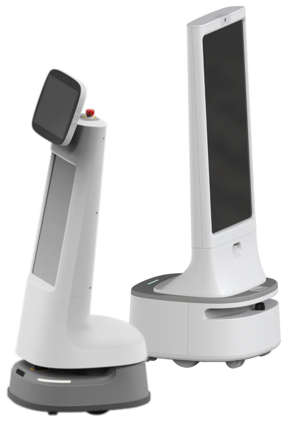 Dual-screen reception robot